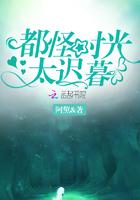 都怪岁月太深情免费阅读
