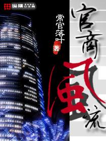 重生之官场风流怎么样