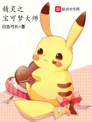 精灵宝可梦之大师之旅