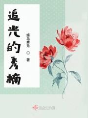 追光禾中