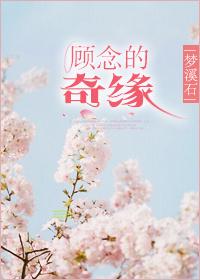 顾念的奇缘梦溪石