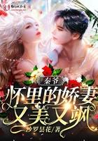 秦爷怀里的娇妻是大佬 免费阅读