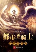都市圣骑异闻