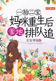 一胎二宝爹地妈咪又怀