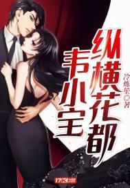 韦小宝穿越的