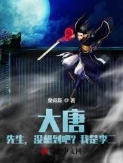 大唐我又把李二打了