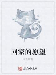 回家的愿望作文