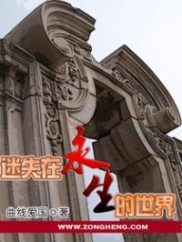 迷失在永生的世界全集